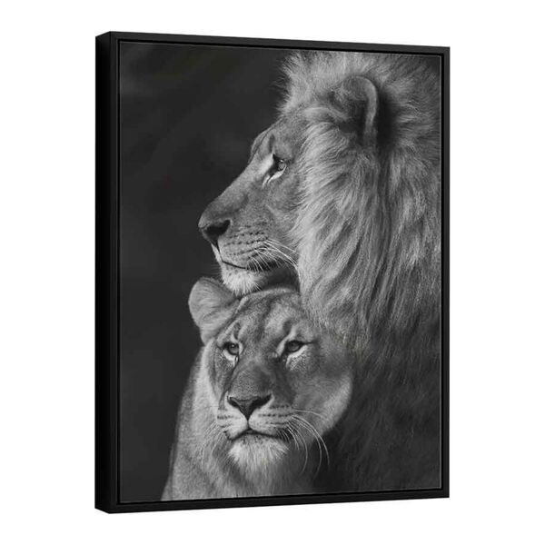 Quadro Casal De Leões 122x92 Cm | Com Moldura Preta